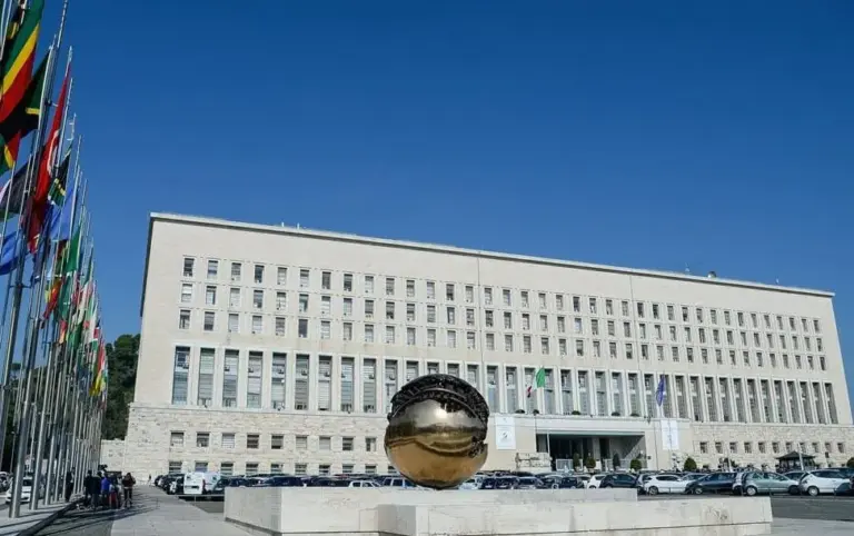 Alleanza Globale per la Soluzione a due Stati, al via le sessioni tecniche alla Farnesina